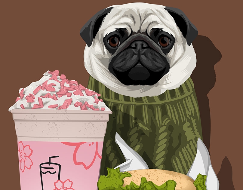 Vector-Sketch-Lilttle-Lil-Pug