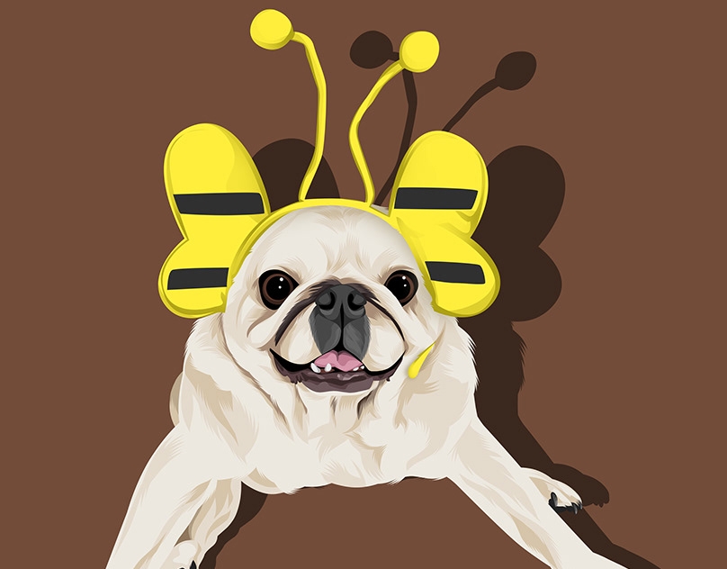 Vector-Sketch-fo-Cookie-Bear