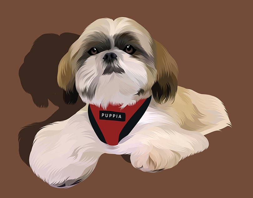 Vector-Sketch-if-Michi