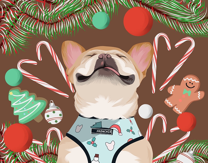 Vector-Sketch-of-Albert