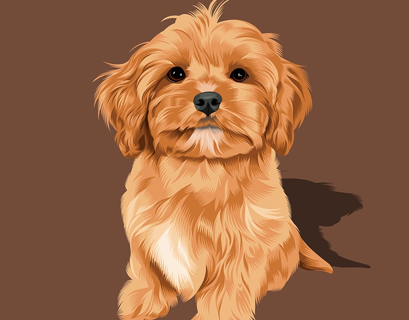 Vector-Sketch-of-Alfie