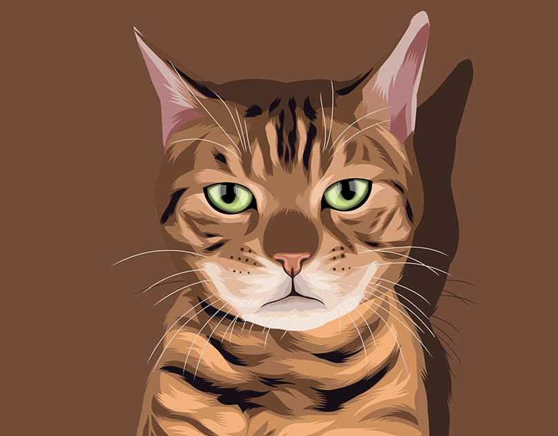 Vector-Sketch-of-Annoyed-Cat