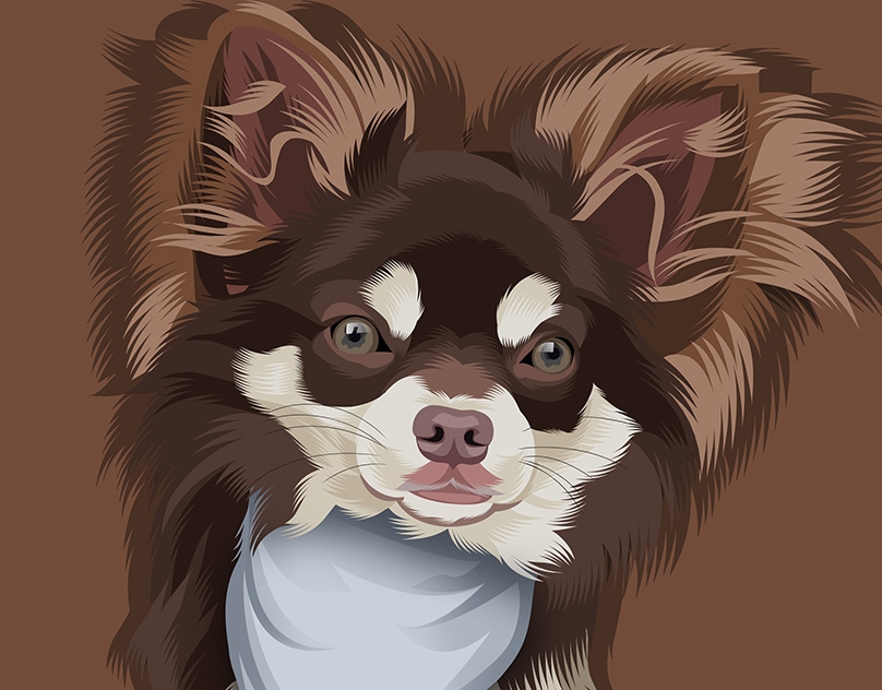 Vector-Sketch-of-Ari