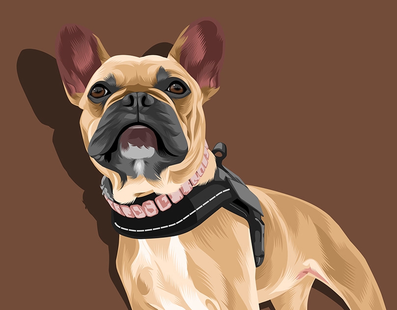 Vector-Sketch-of-Ava