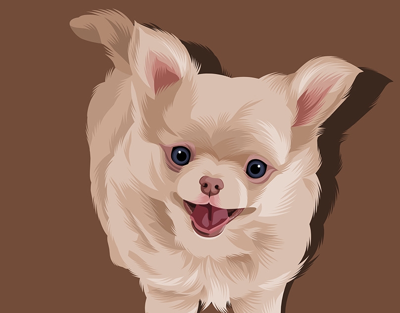 Vector-Sketch-of-Bailey