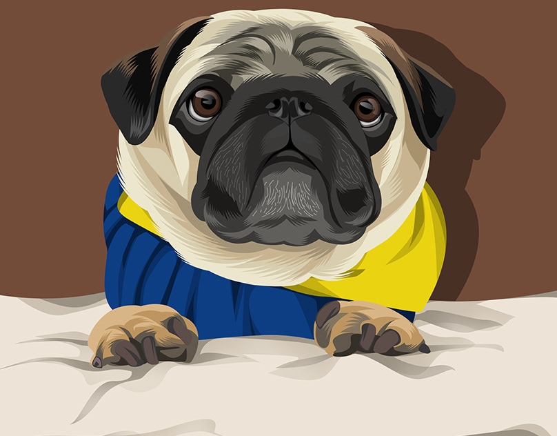 Vector-Sketch-of-Barry