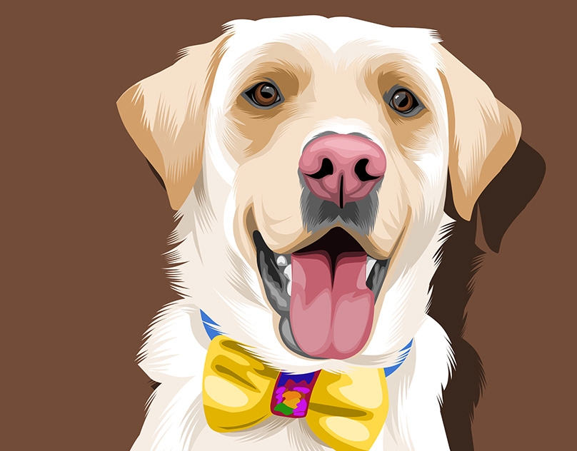 Vector-Sketch-of-Baxter