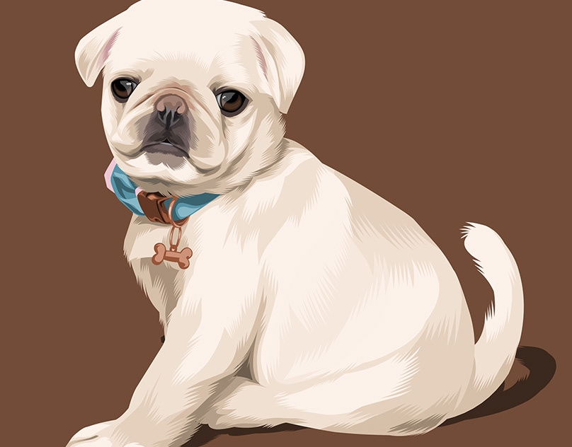 Vector-Sketch-of-Bea