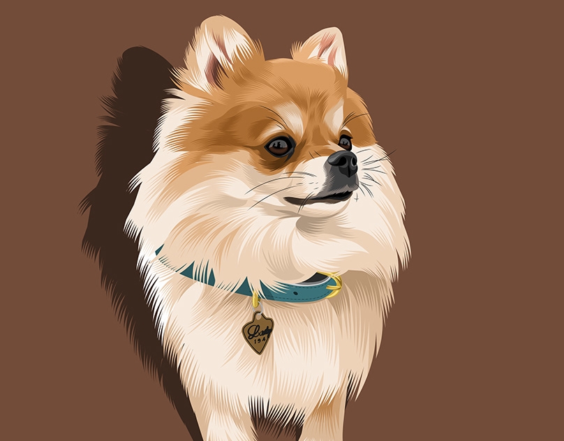 Vector-Sketch-of-Bear