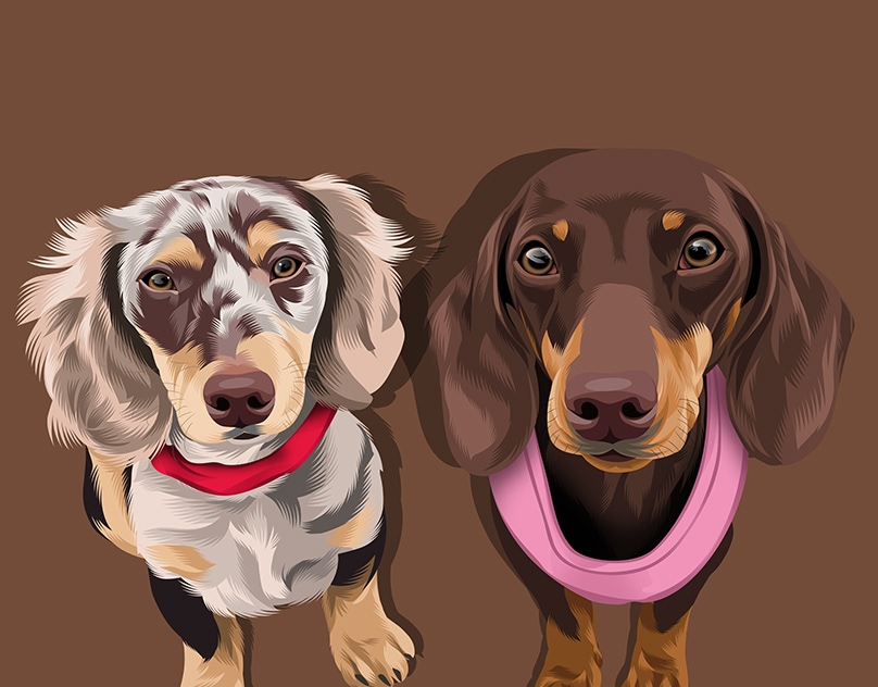 Vector-Sketch-of-Bella-and-Beau