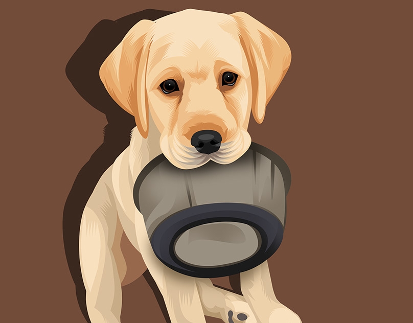 Vector-Sketch-of-Benson