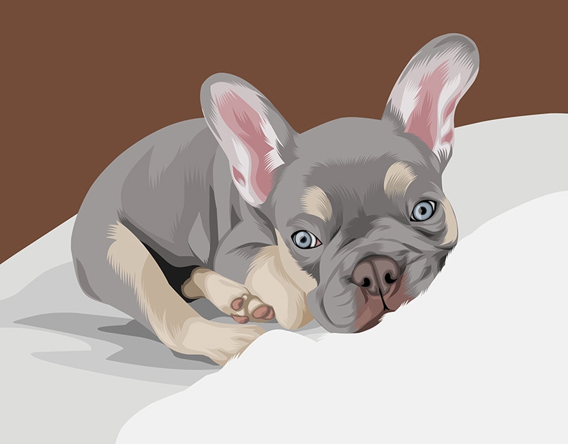 Vector-Sketch-of-Berkley