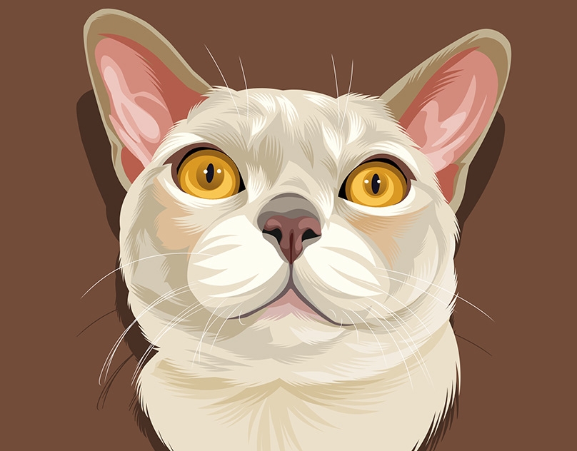 Vector-Sketch-of-Beua