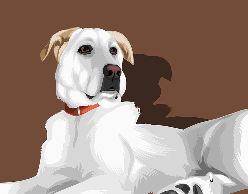 Vector-Sketch-of-Blizzard