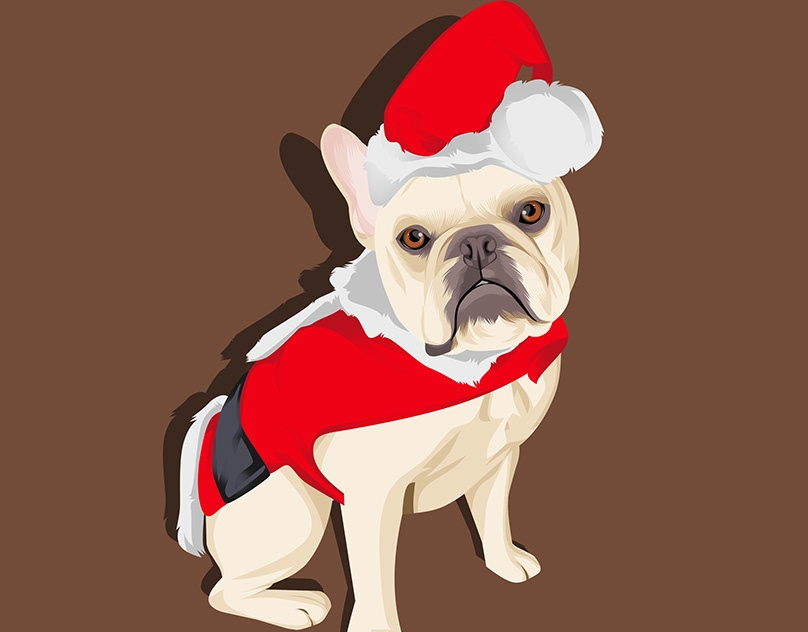 Vector-Sketch-of-Bochy