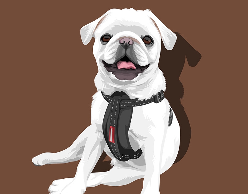 Vector-Sketch-of-Boo