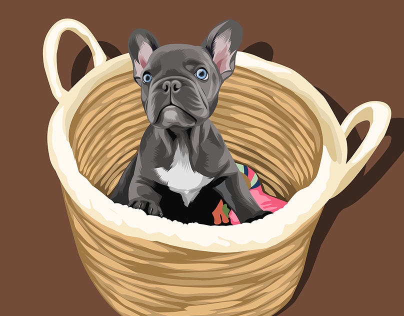 Vector-Sketch-of-Brooklyn-Blue