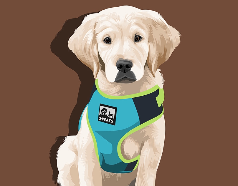 Vector-Sketch-of-Buddy