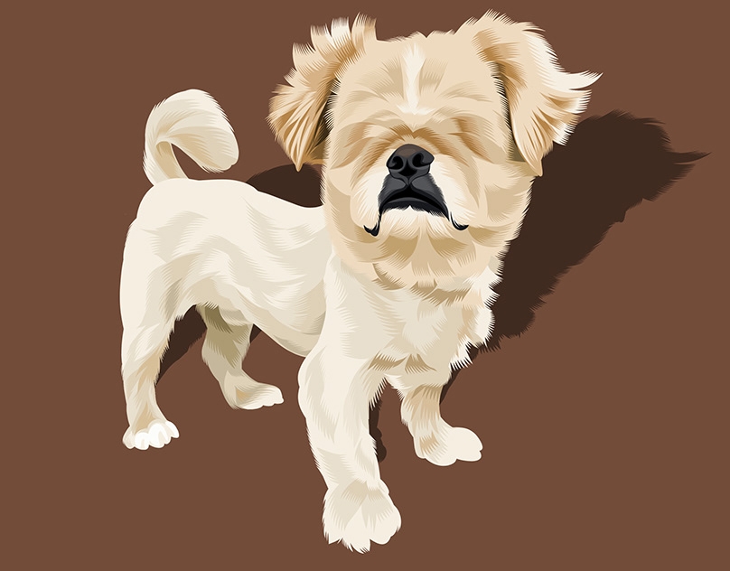 Vector-Sketch-of-Bumper