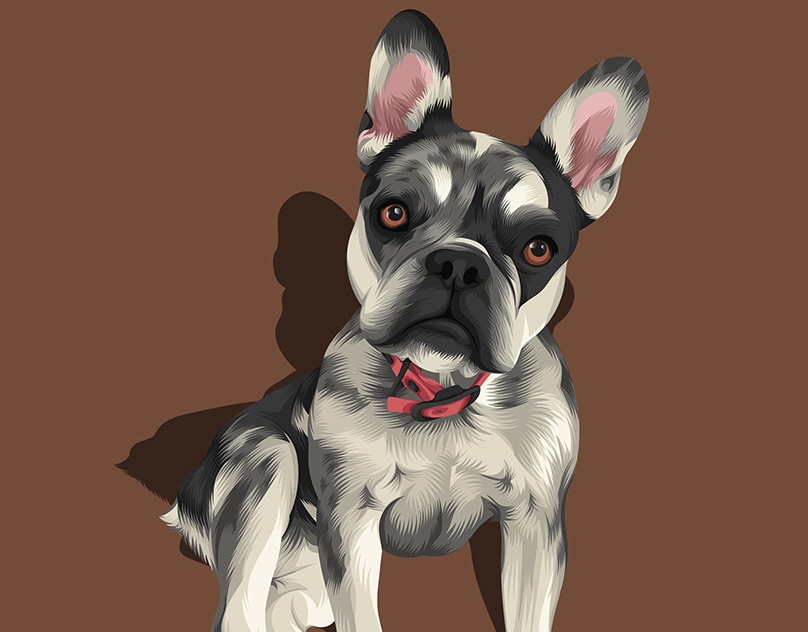 Vector-Sketch-of-Cajun