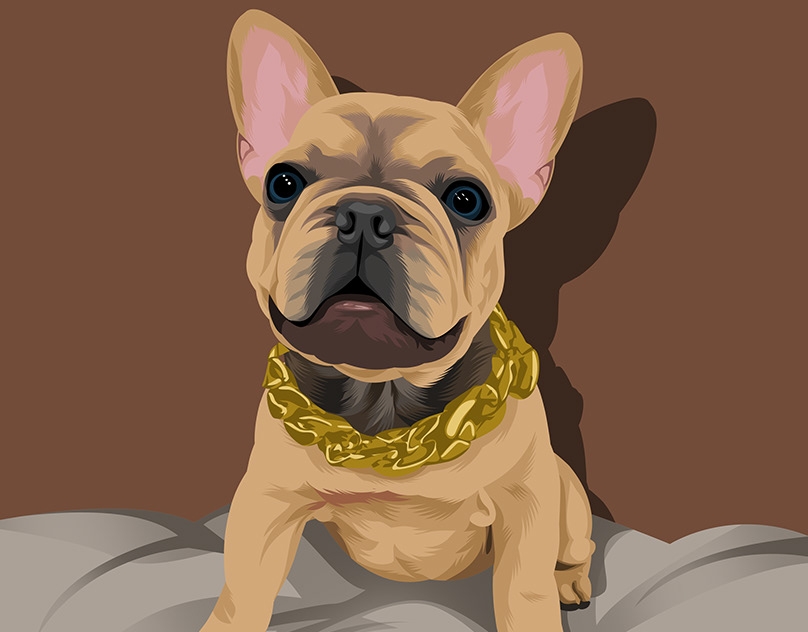 Vector-Sketch-of-Cash