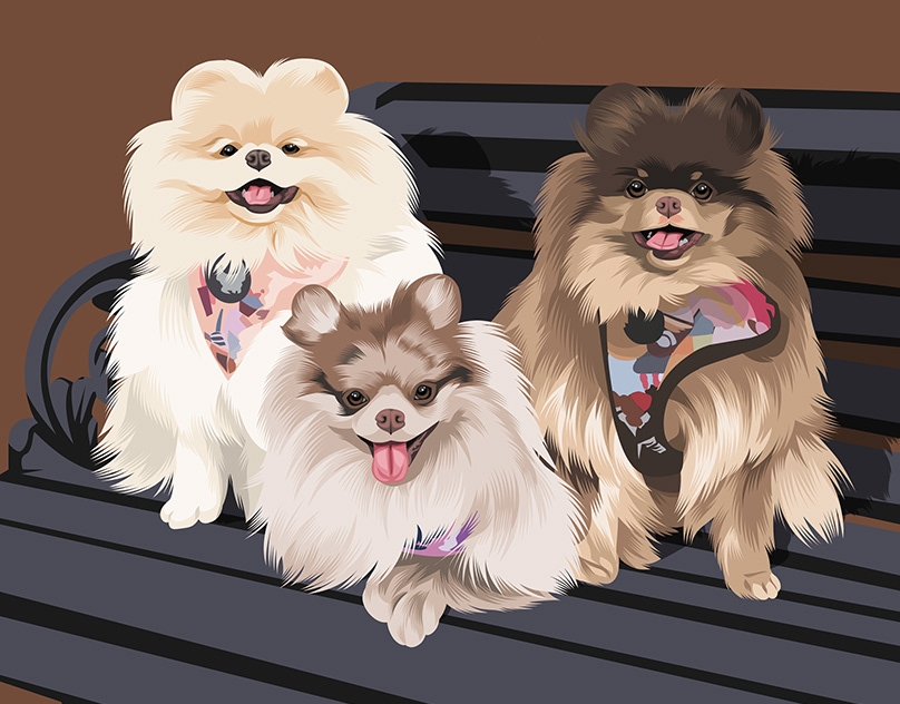 Vector-Sketch-of-Cedrid-and-Friends