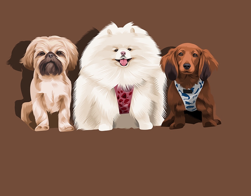 Vector-Sketch-of-Chanel-and-Friends