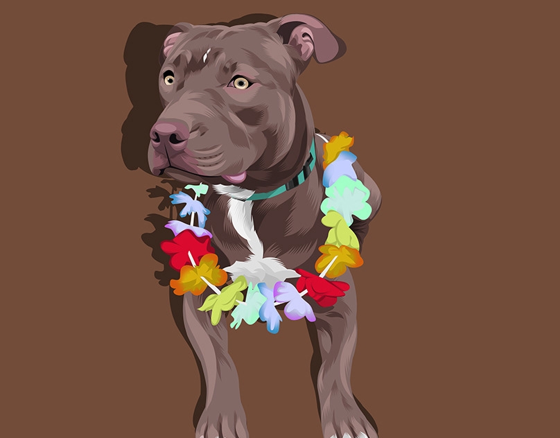 Vector-Sketch-of-Chestnut