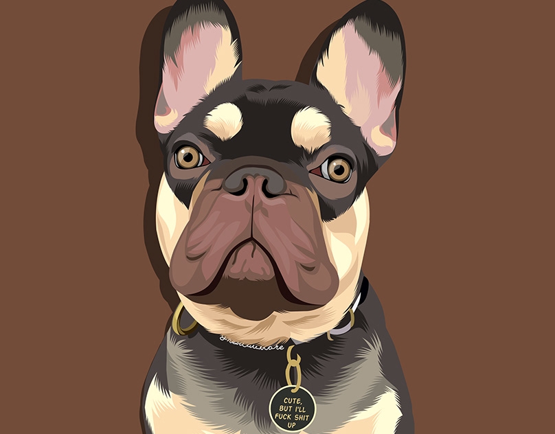 Vector-Sketch-of-Chocko