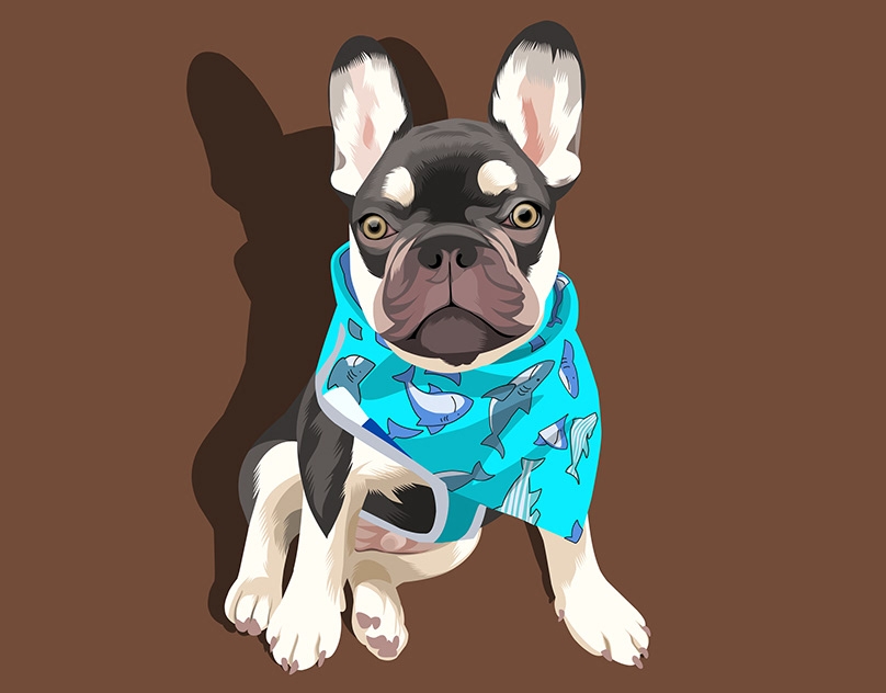 Vector-Sketch-of-Choko