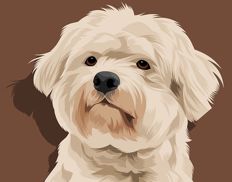 Vector-Sketch-of-Cisco