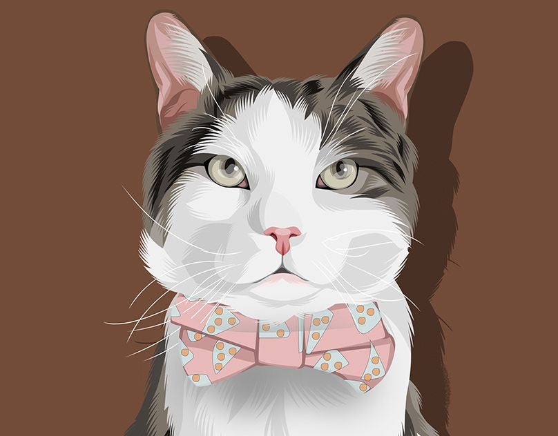 Vector-Sketch-of-CoCO