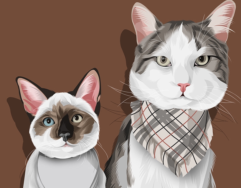 Vector-Sketch-of-CoCo-and-Stella