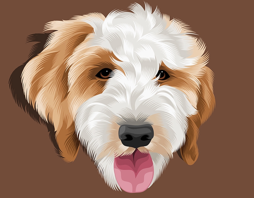 Vector-Sketch-of-Coda