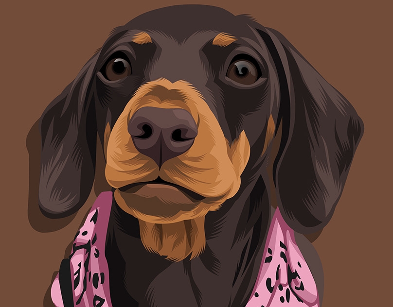 Vector-Sketch-of-Cookie