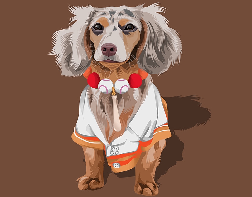 Vector-Sketch-of-Darcy