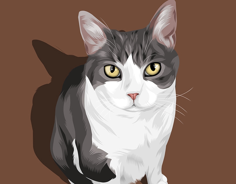 Vector-Sketch-of-Daryll