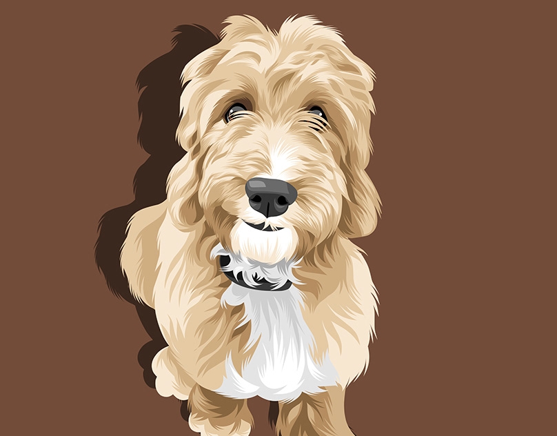 Vector-Sketch-of-Dasher