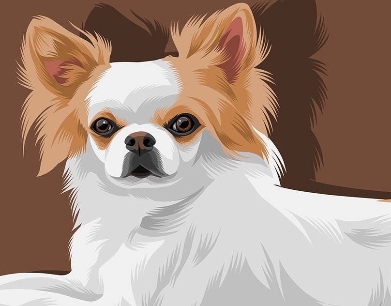 Vector-Sketch-of-Delight