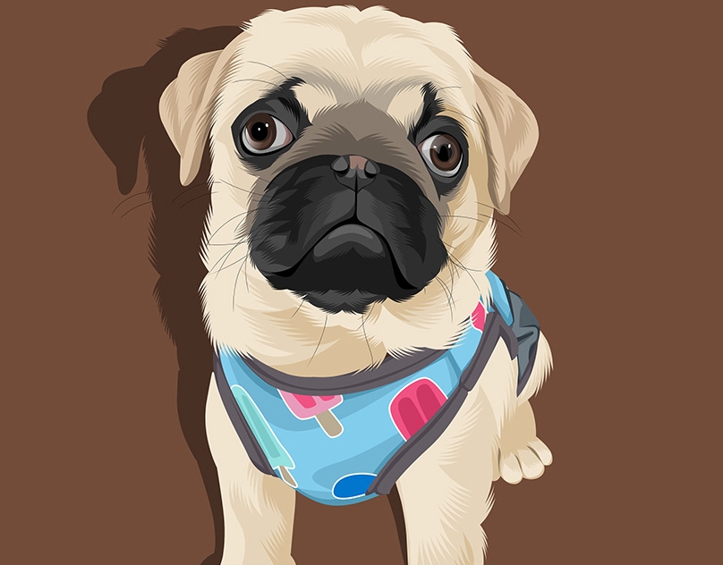 Vector-Sketch-of-Dill