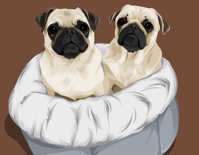 Vector-Sketch-of-Dilly-and-Remi