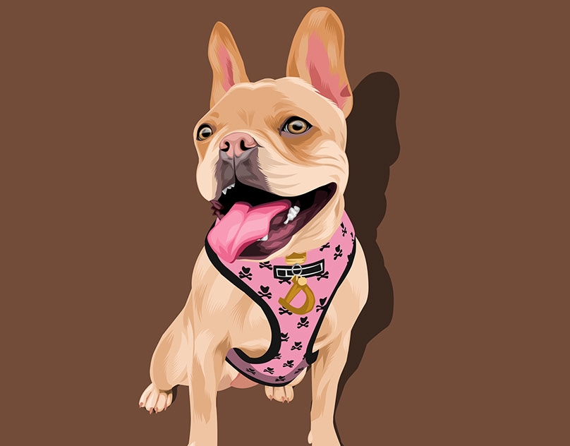 Vector-Sketch-of-Dolce