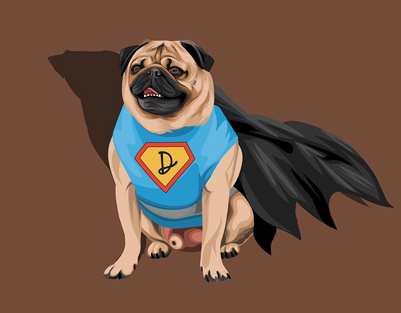 Vector-Sketch-of-Doug