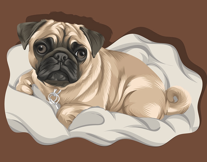 Vector-Sketch-of-Duckie