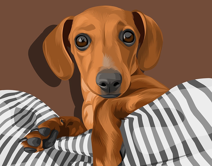 Vector-Sketch-of-Etta