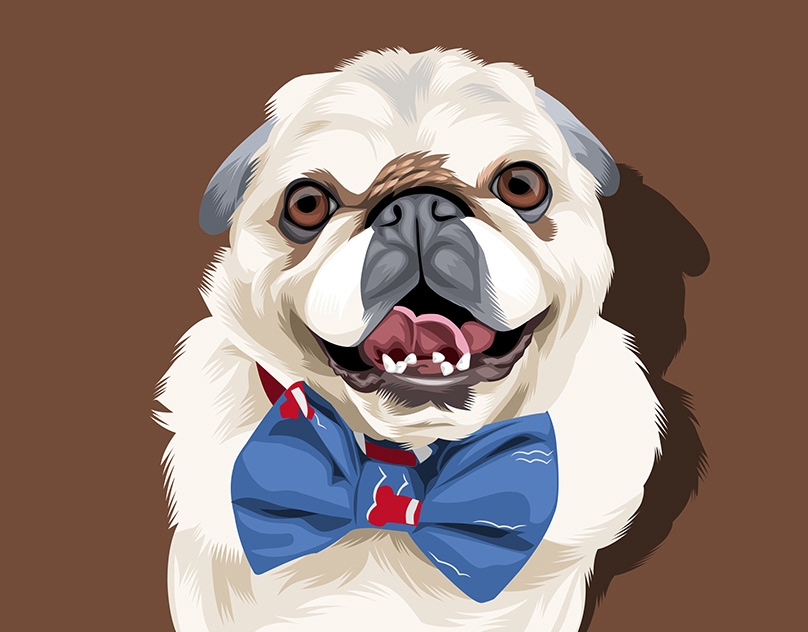 Vector-Sketch-of-Finley