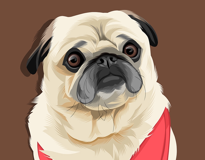 Vector-Sketch-of-Finn