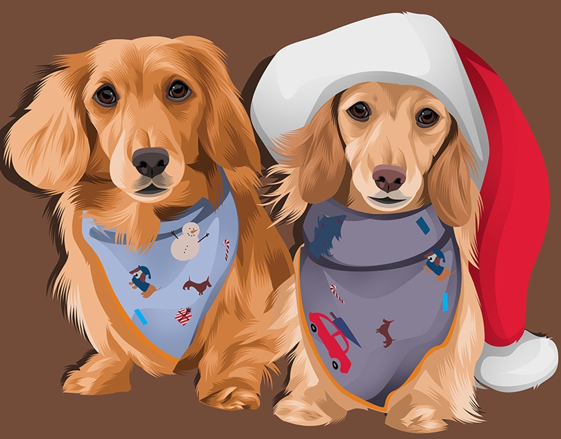 Vector-Sketch-of-Finnegan-and-Claire