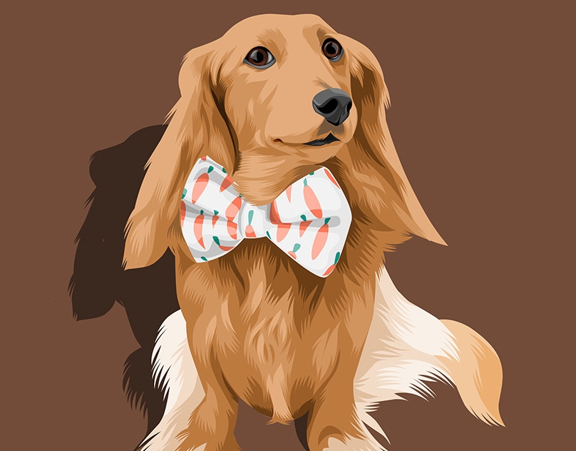Vector-Sketch-of-Finnegan