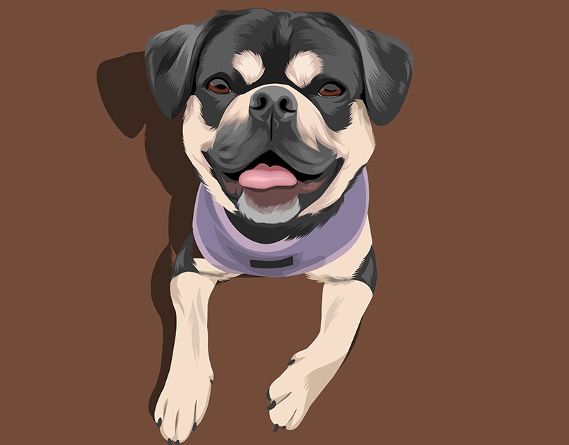 Vector-Sketch-of-Flo